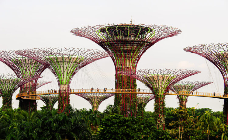 creare site multilingv